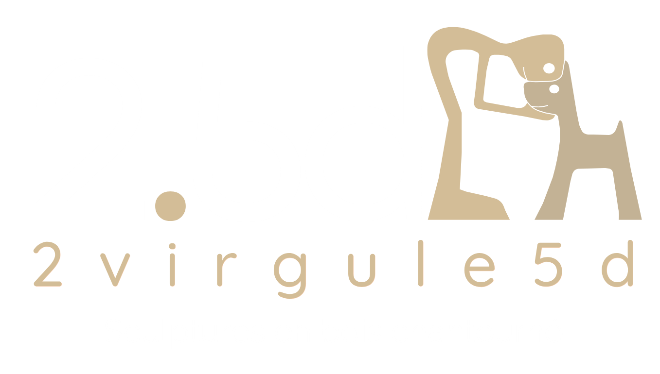 2VIRGULE5D logo fond noir fond transparent
