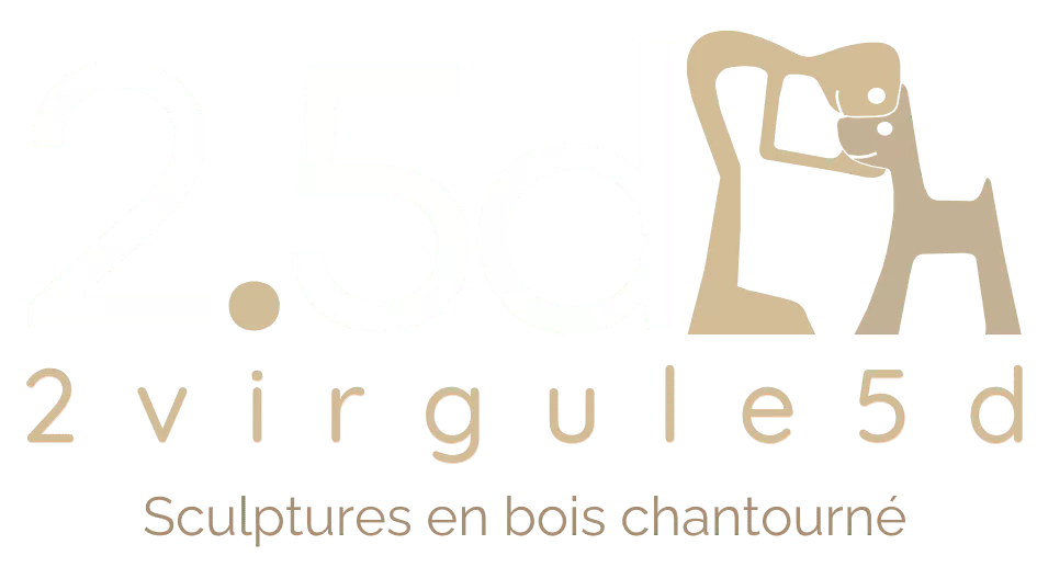 2VIRGULE5D logo